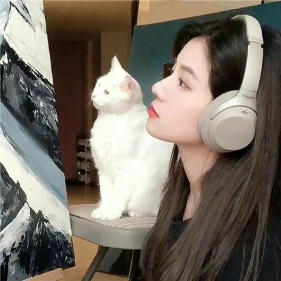 风月君子